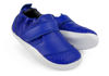 Picture of Bobux Xplorer Go - Blueberry